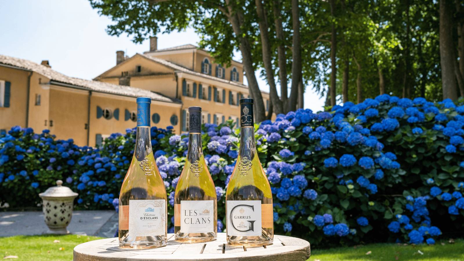 Producer Spotlight: Château d’Esclans